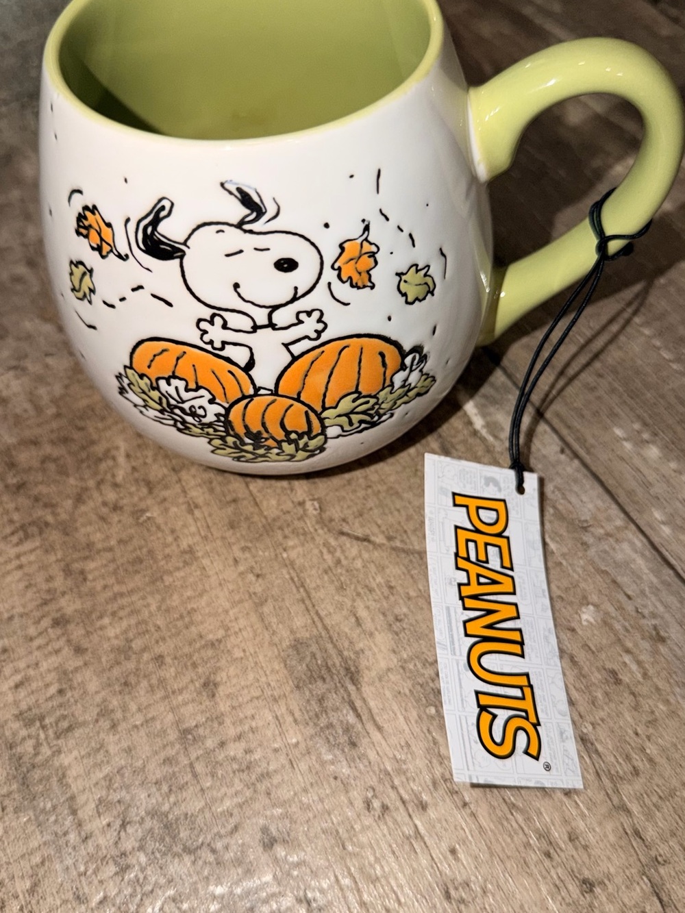 Peanuts Snoopy Pumpkin Ceramic Mug - Light Green Interior & Handle
